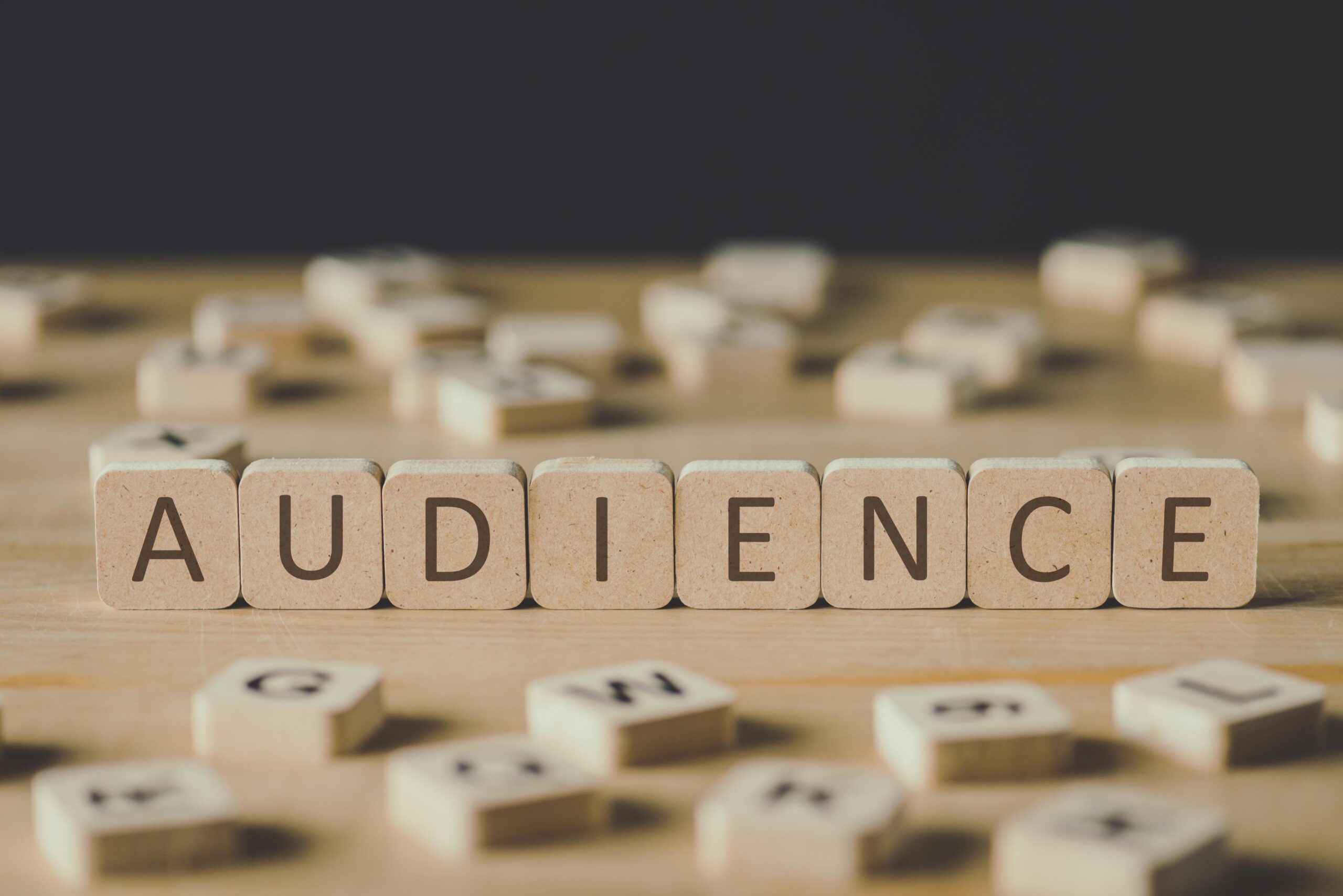 The Importance of Audience Segmentation in Digital Marketing